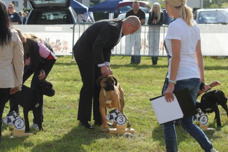 raduno belge 2013 juge Patrizia Colosimo(Degli Elmi kannel)